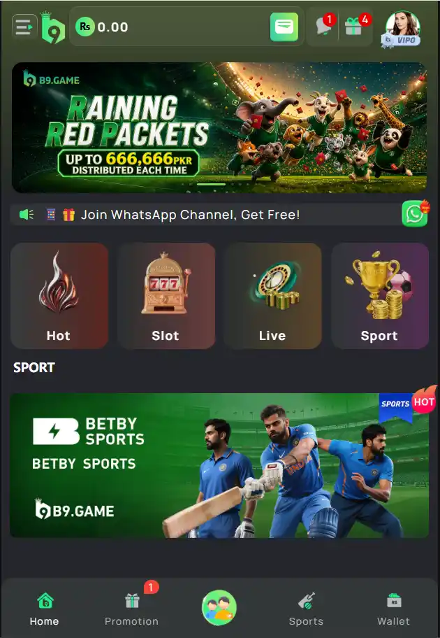 Aviator crash game interface on B9 Game app