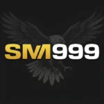 SM999 Game Key Features and Gameplay Overview 2026