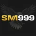 SM999 Game Key Features and Gameplay Overview 2026